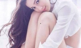 姓杨的明星爆料视频